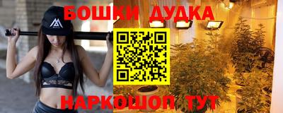 СК Абакан