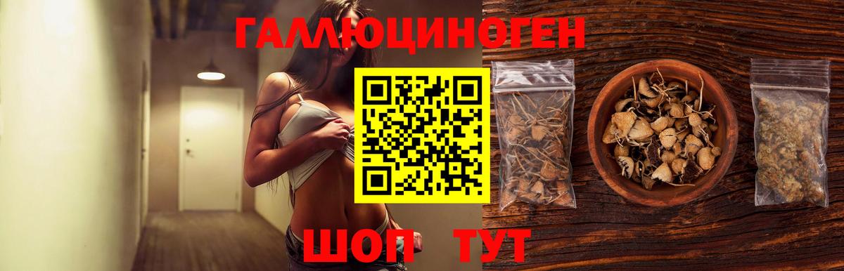 Галлюциногенные грибы Psilocybe Альметьевск