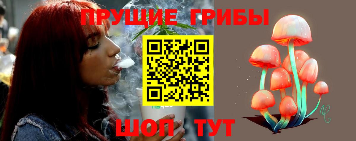 Галлюциногенные грибы прущие грибы  Галлюциногенные грибы Psilocybe  Вход с VPN  Альметьевск 